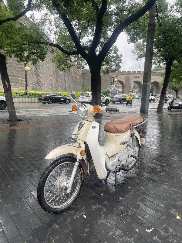 洛嘉 后浪