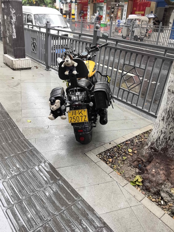 奔达 金吉拉350