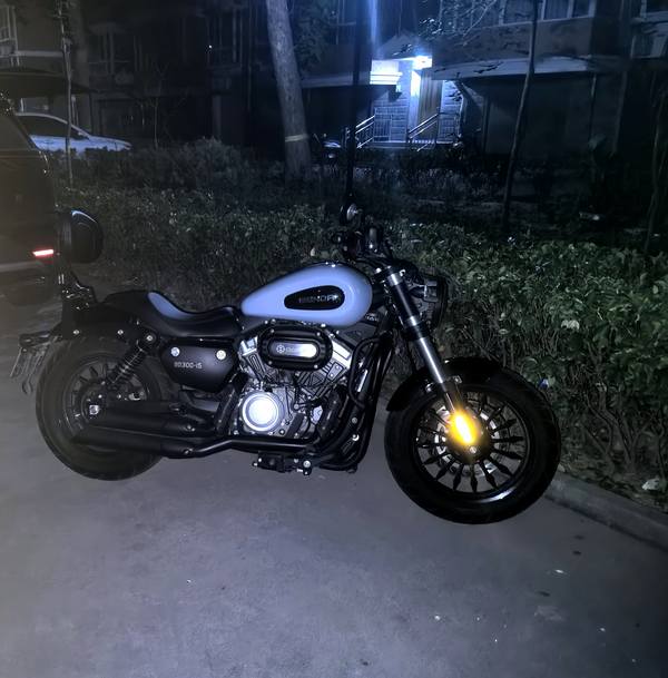 奔达 金吉拉300