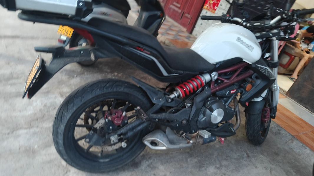 贝纳利 蓝宝龙 BN302S
