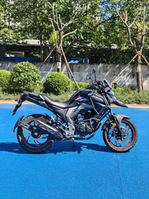 豪爵 DL150