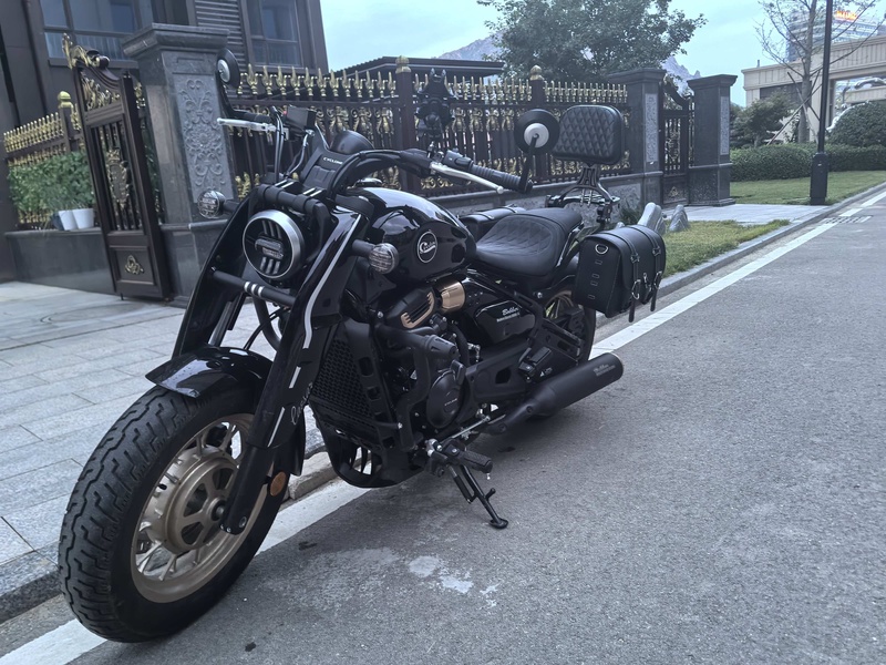 赛科龙 RA600