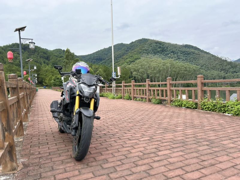 豪爵 DR300
