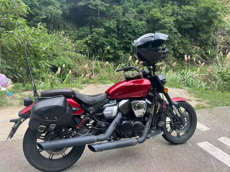 龙嘉 V途250