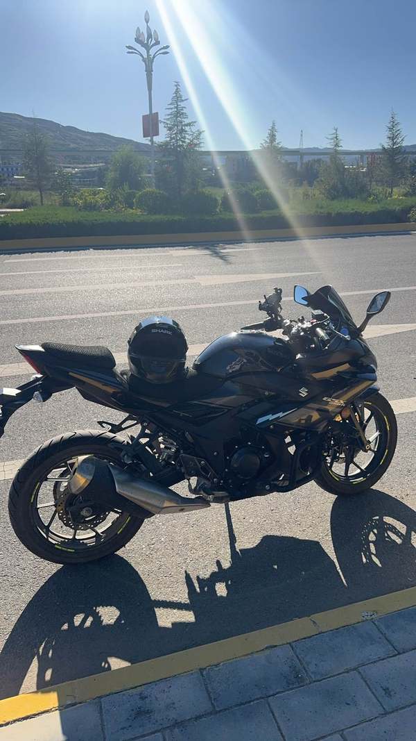 豪爵铃木 GSX250R