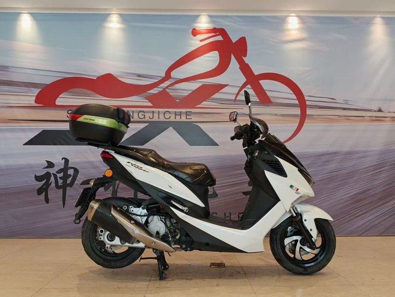 金城 草蜢 200