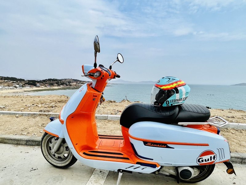 维多利亚 Sixties 300i