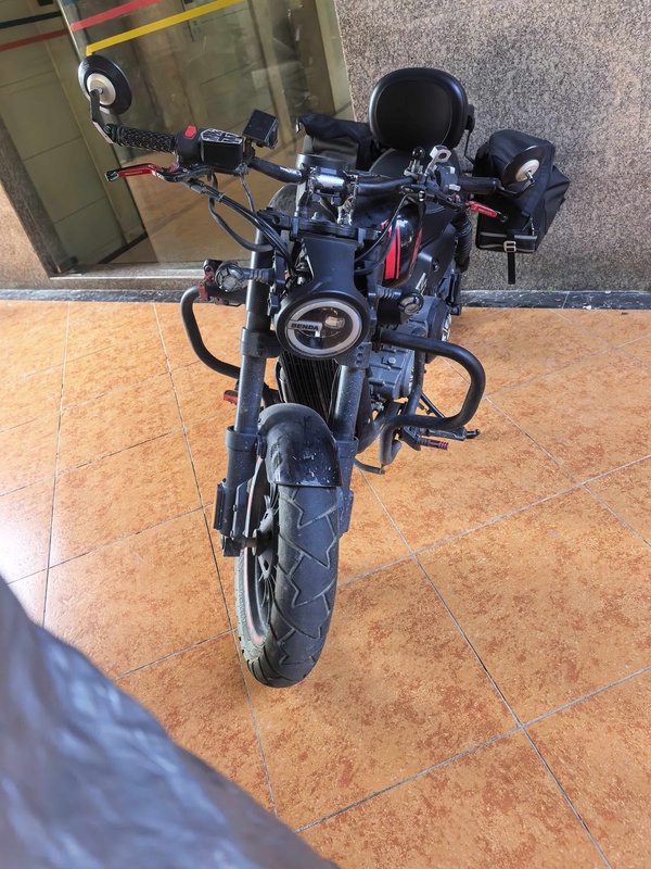 奔达 金吉拉300