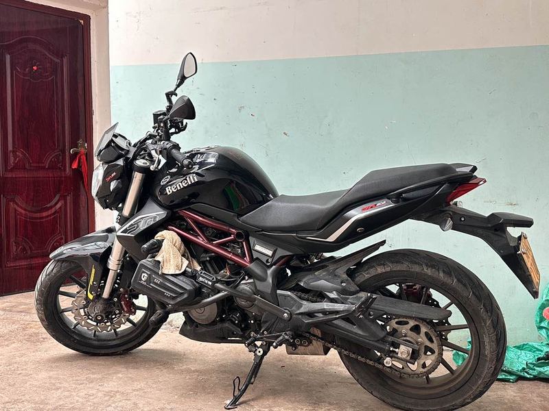 贝纳利 蓝宝龙 BN302S