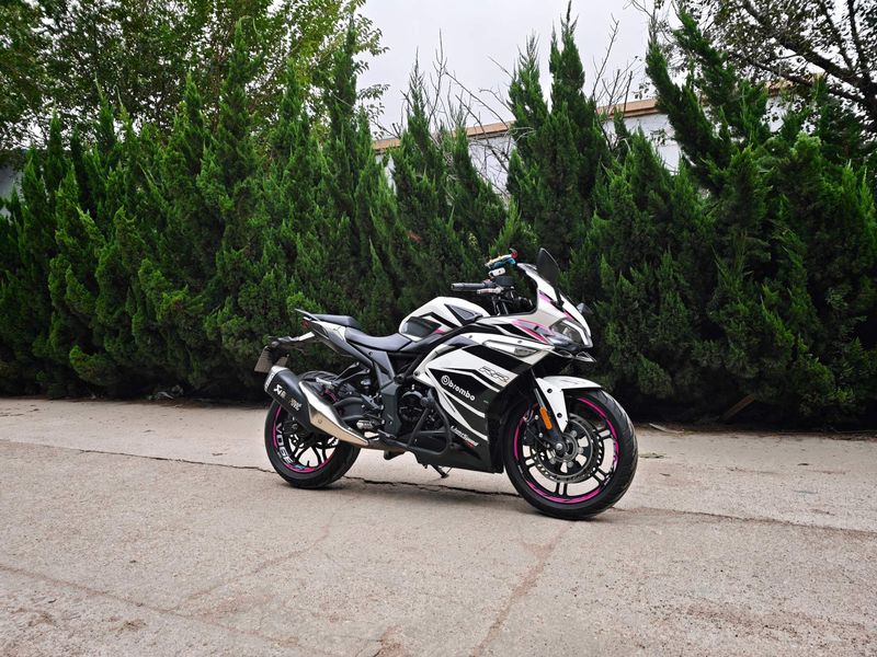 无极 300RR