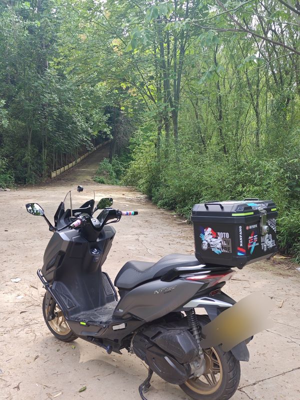 南方 飞鲨