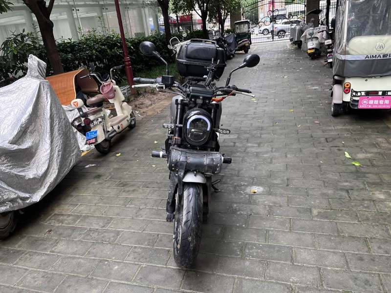 贝纳利 幼狮 Leoncino 250