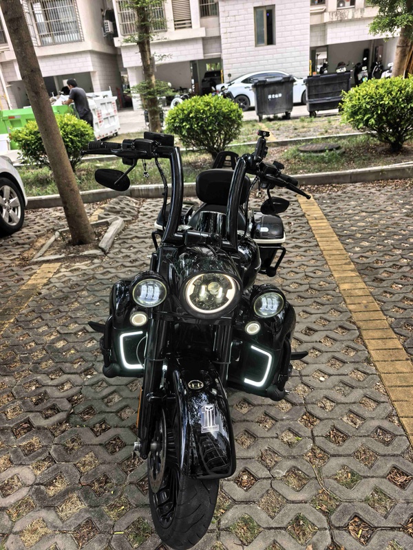 哈雷戴维森  路王定制版 Road King Special