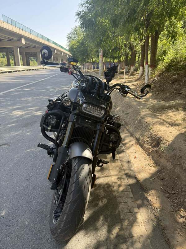 庄威 威霸400