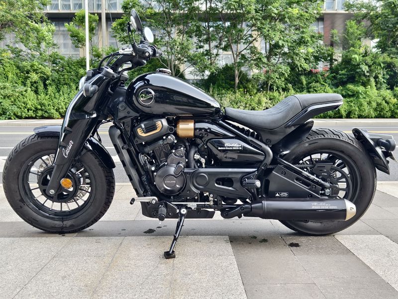 赛科龙 RA600