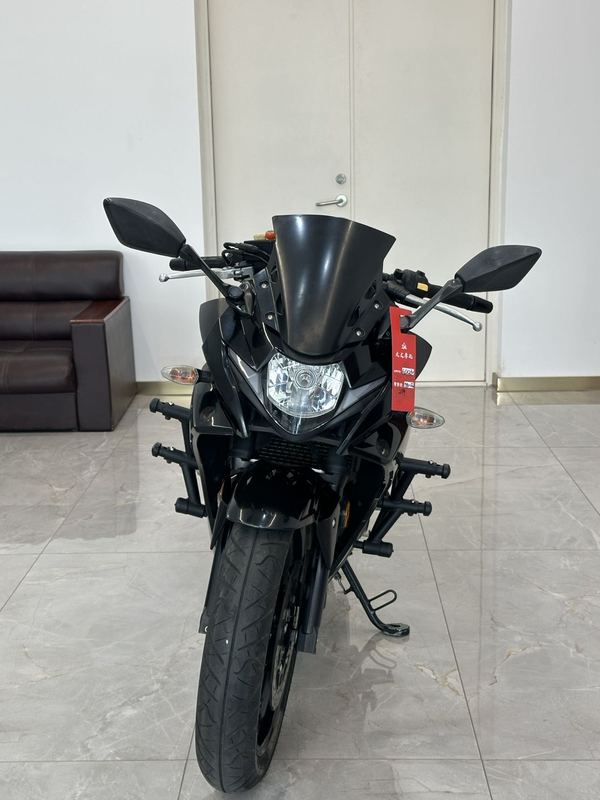 豪爵铃木 GSX250R