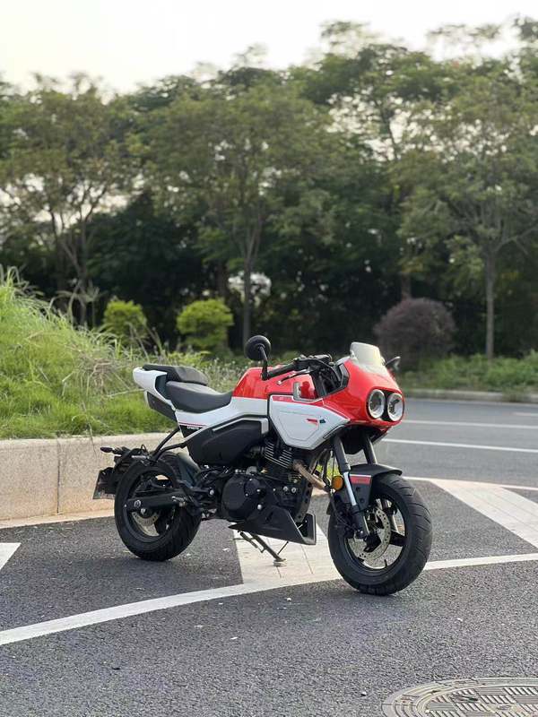 春风 XO狒狒