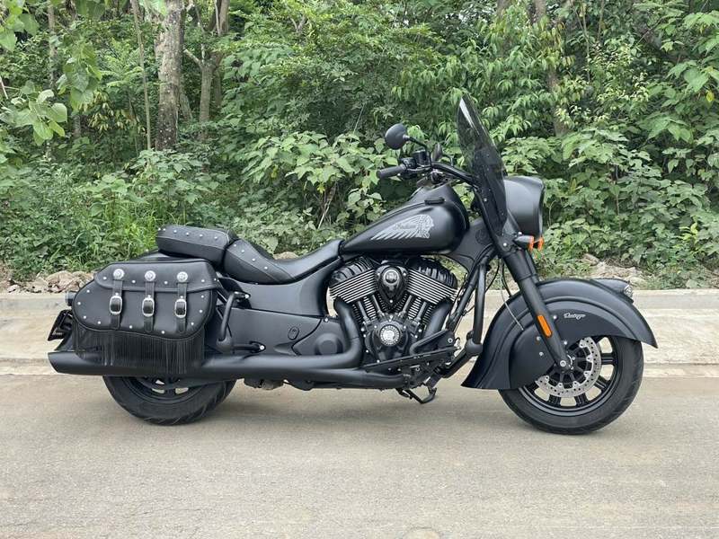印第安 领地黑马 Springfield Dark Horse