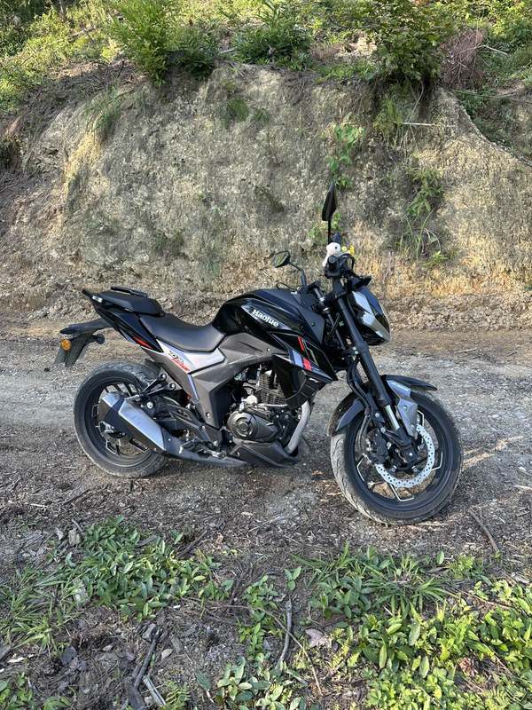 豪爵 DR150