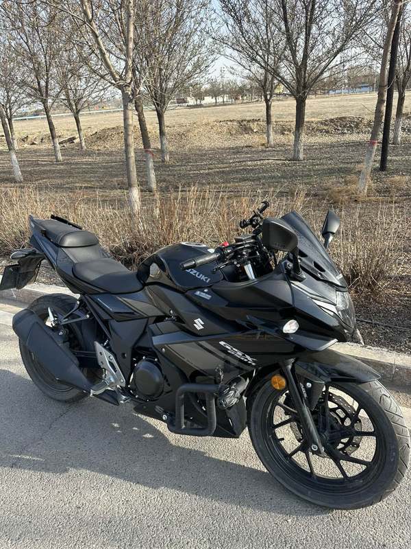 豪爵铃木 GSX250R