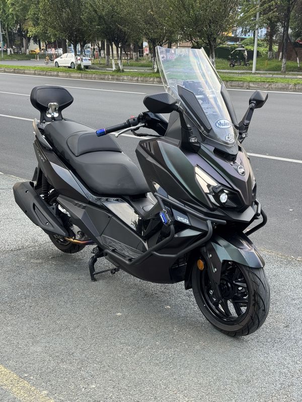 三阳 巡弋 Cruisym250