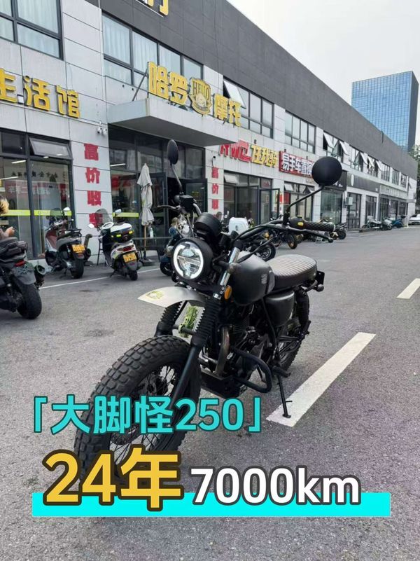 骁胜HYOSUNG U侠 大脚攀爬者