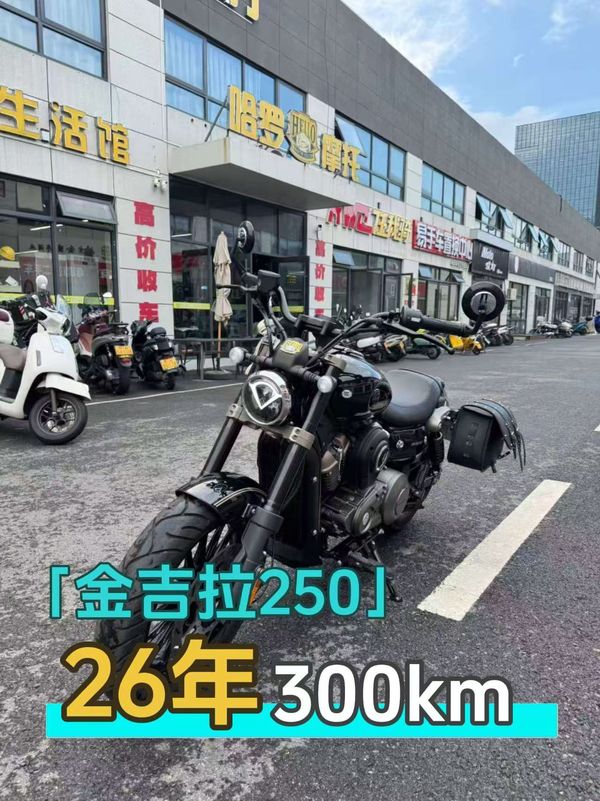 奔达 金吉拉250