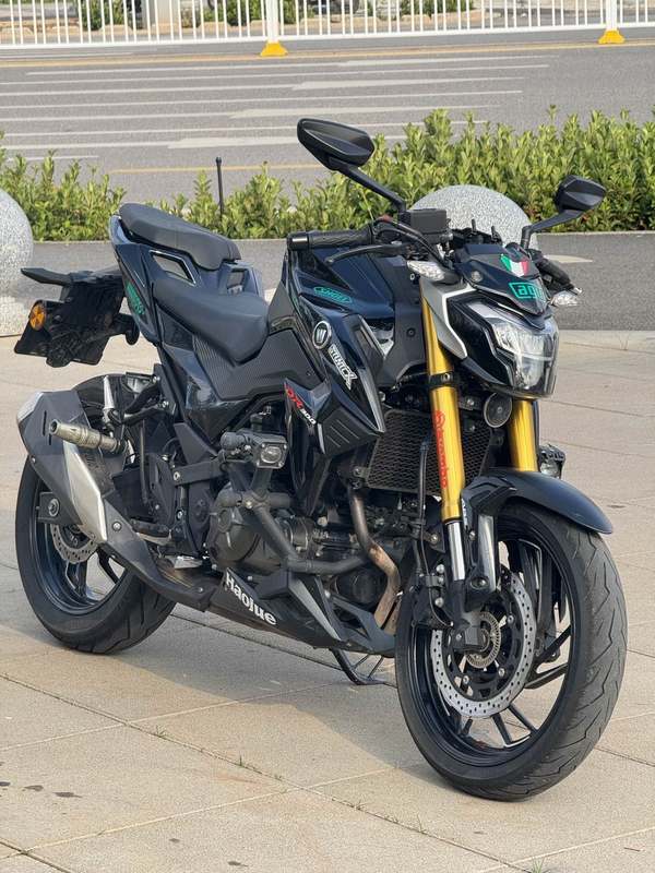 豪爵 DR300