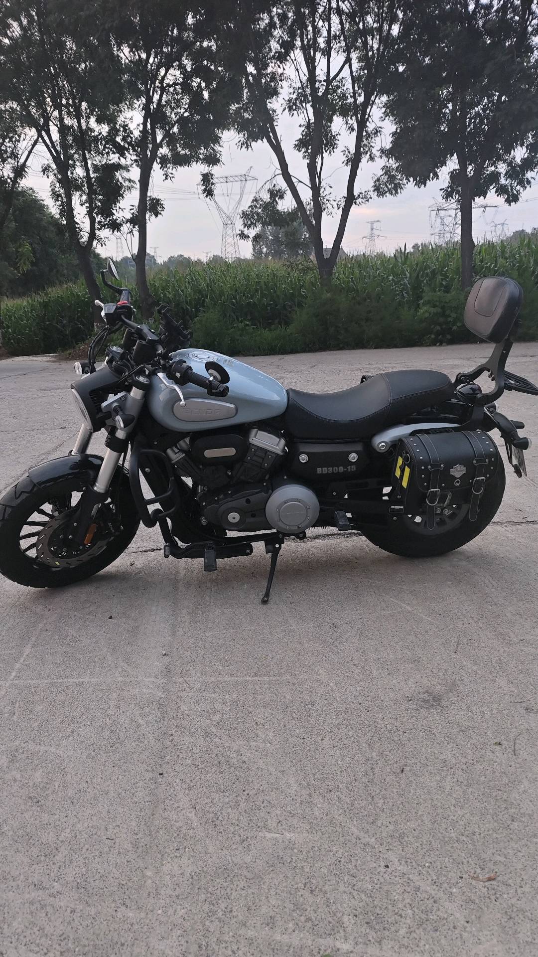 奔达 金吉拉300