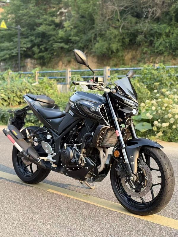 雅马哈 MT-03