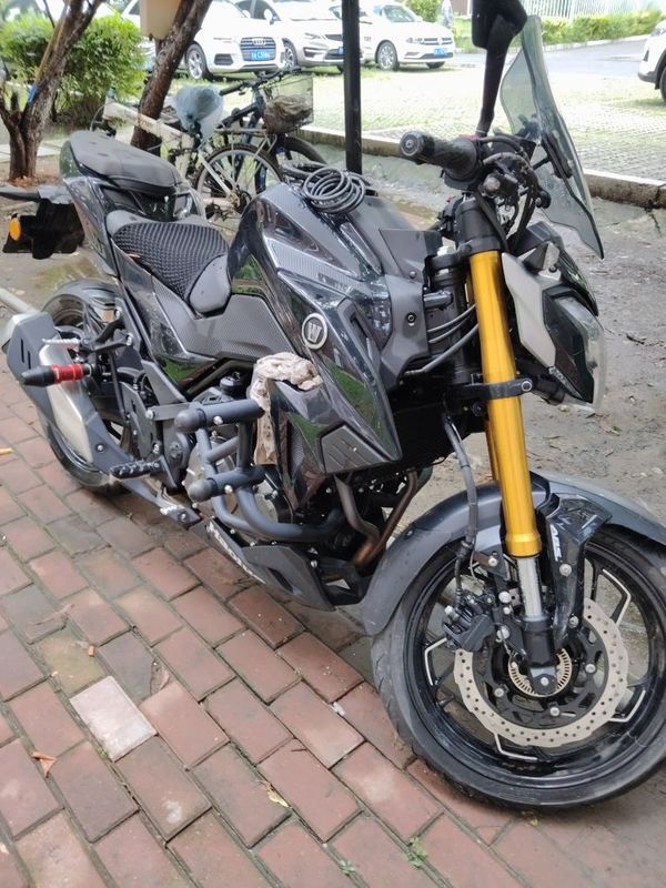 豪爵 DR300
