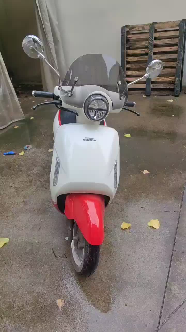 新大洲本田 SDH125T-31