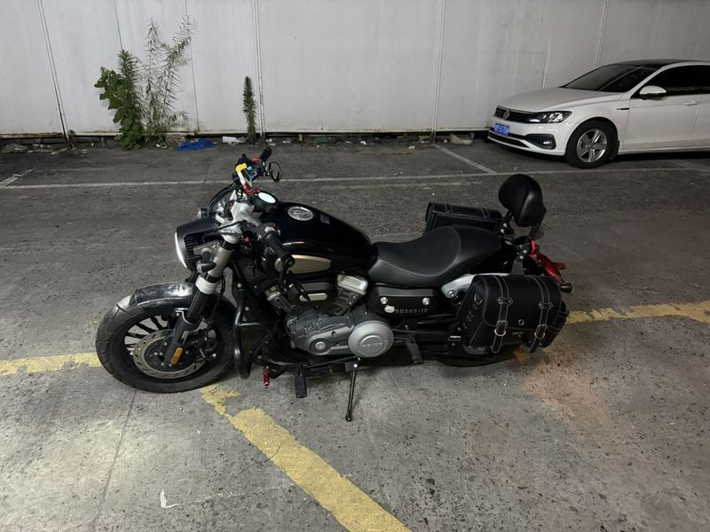 奔达 金吉拉300