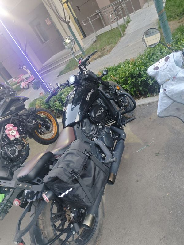 义骑 弘飞虎