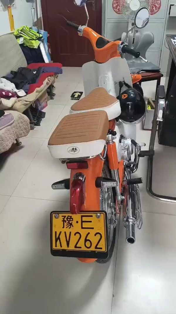 建设 柯基
