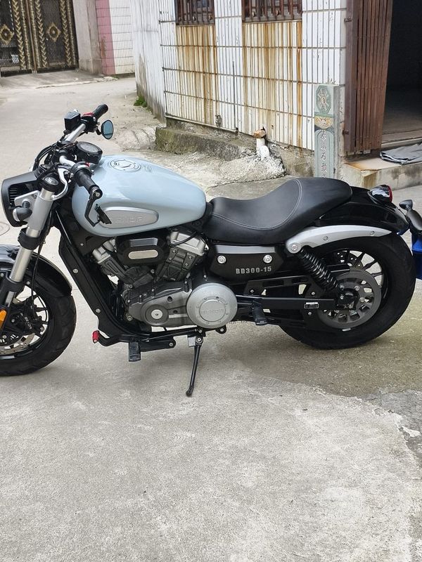 奔达 金吉拉300