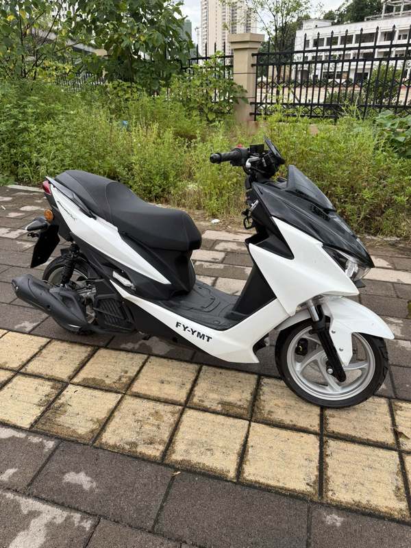 飞鹰 F-Max 150