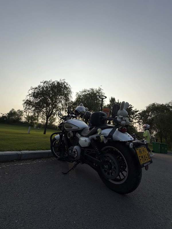 奔达 金吉拉300
