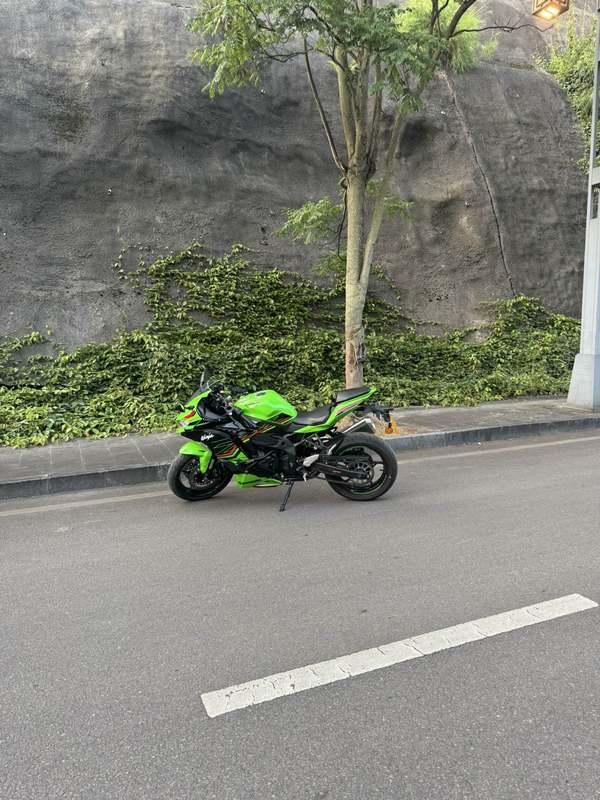 川崎 ZX-4R