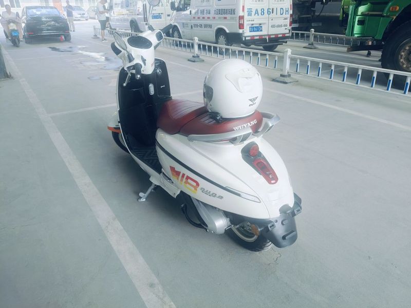 五羊 欧歌