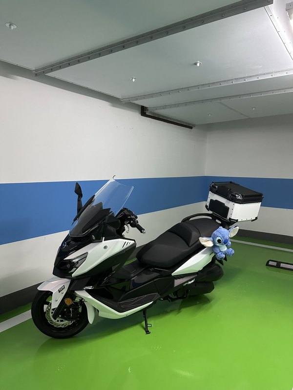 三阳 巡弋 Cruisym250
