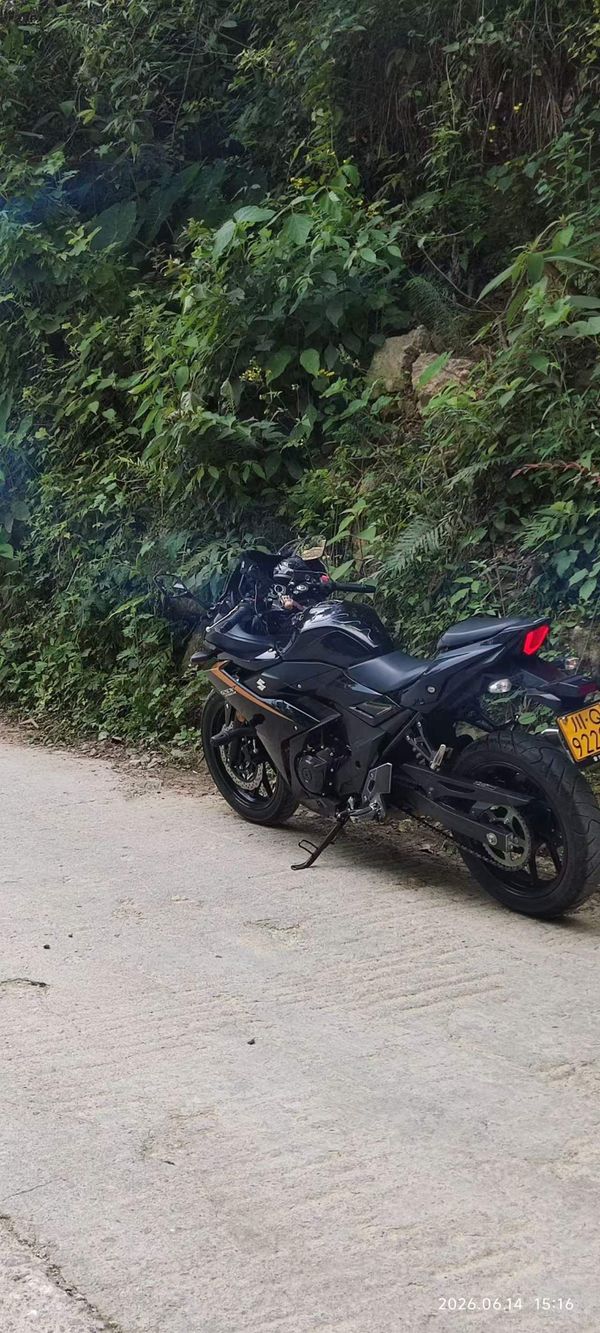 豪爵铃木 GSX250R