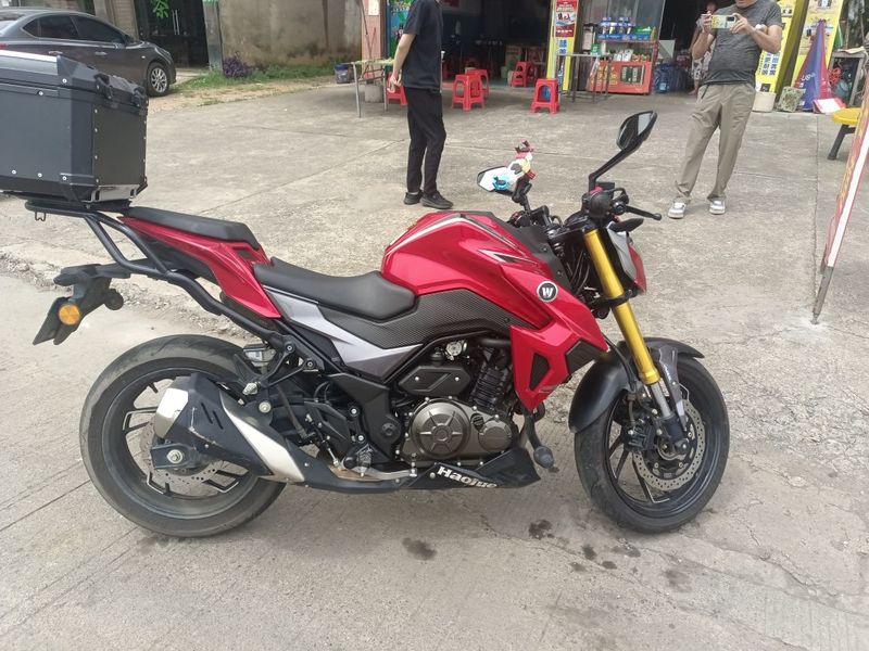豪爵 DR300