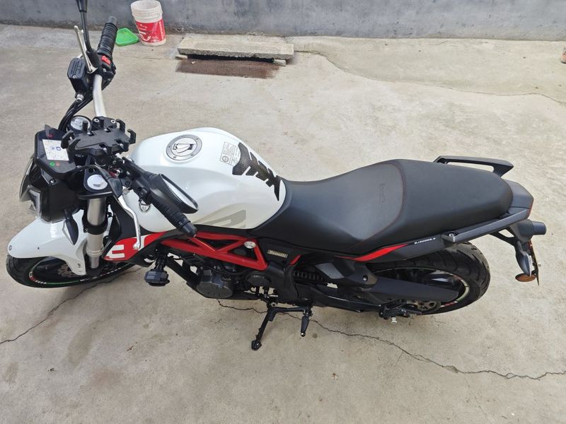 贝纳利 蓝宝龙 BN302S