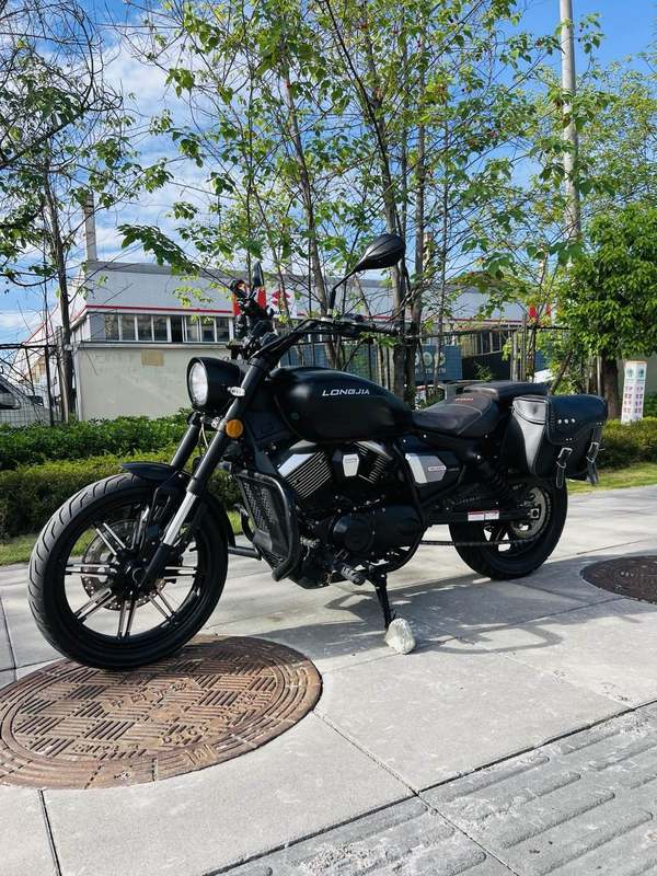 龙嘉 V途250