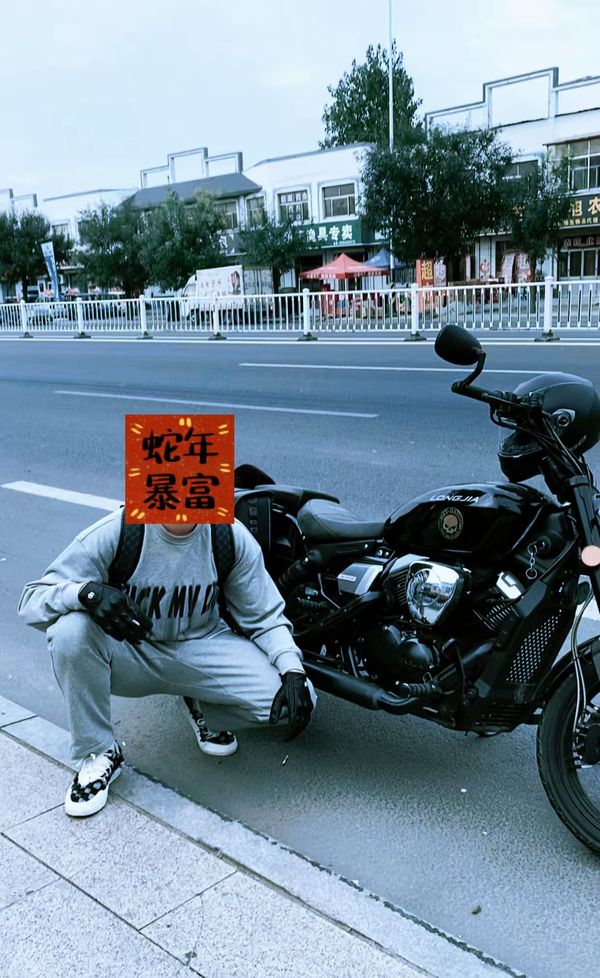 龙嘉 V途250