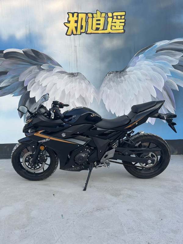 豪爵铃木 GSX250R