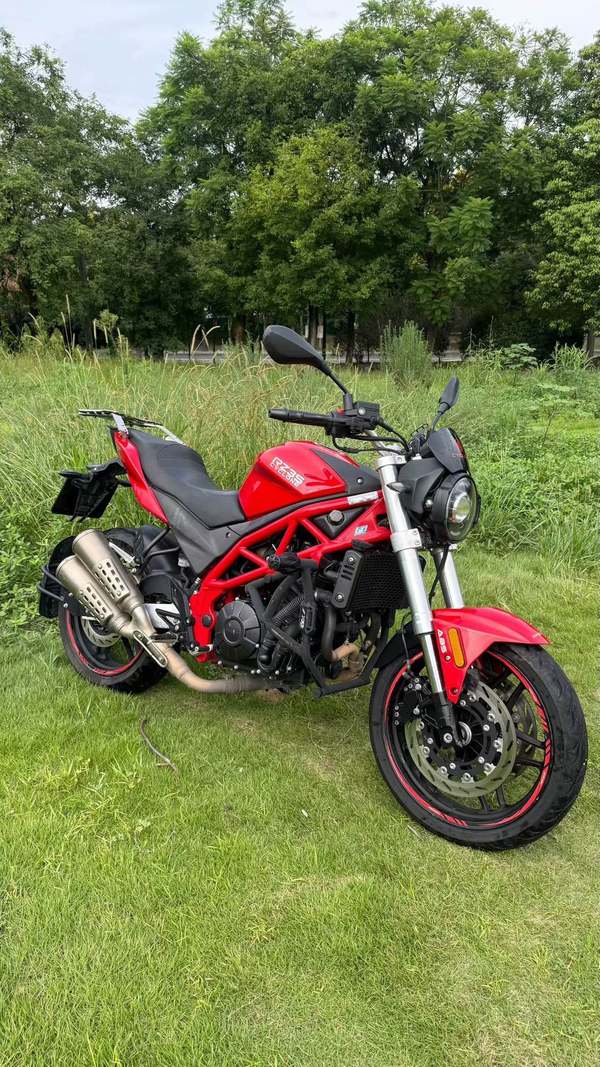 赛科龙 RZ3S