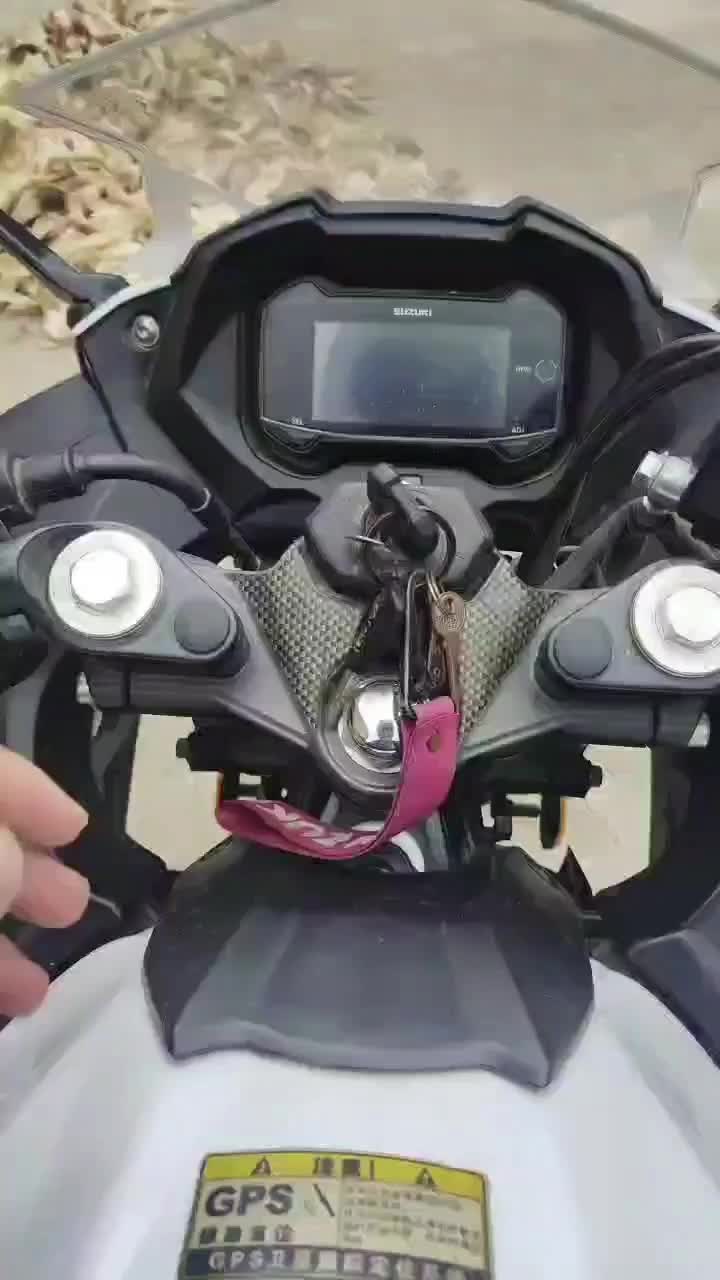 豪爵铃木 GSX250R