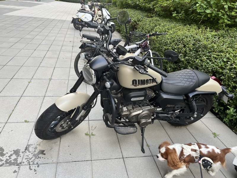 QJMOTOR 闪300S